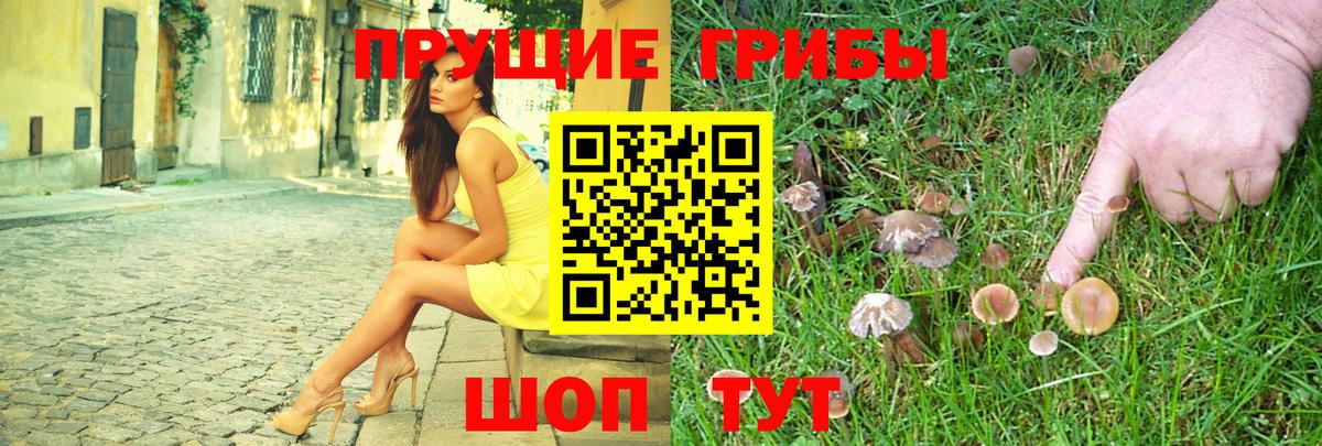 Саратов  Галлюциногенные грибы мицелий  Вход с VPN 